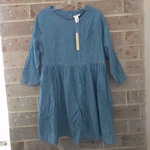 Esley Chambray Mini Dress